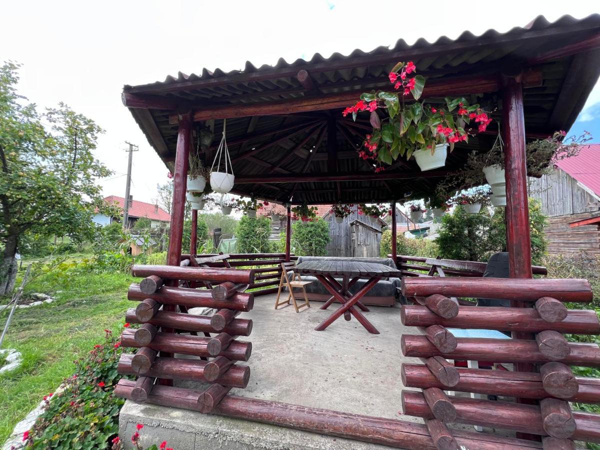 Affittacamere Casa Helen Insurance&Tourism Galócaş Esterno foto