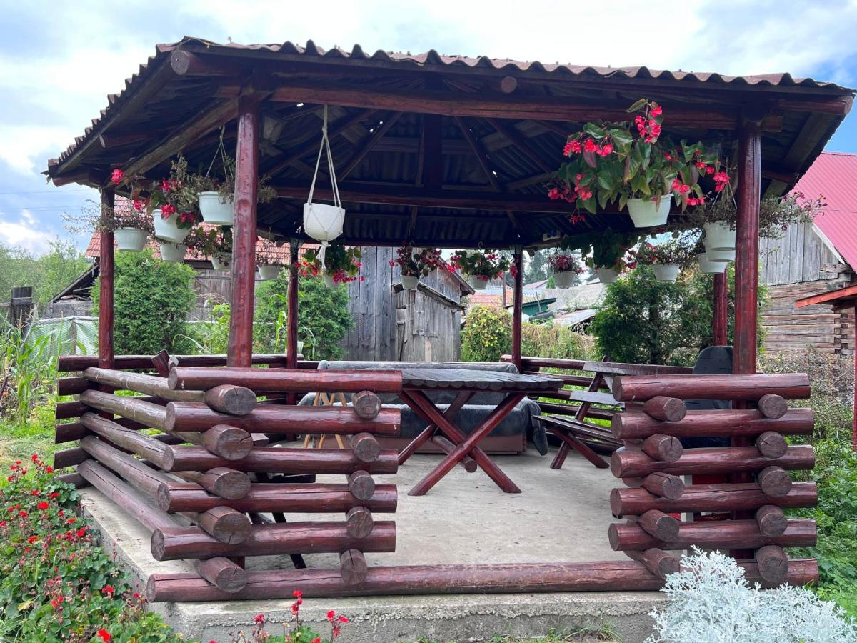Affittacamere Casa Helen Insurance&Tourism Galócaş Esterno foto