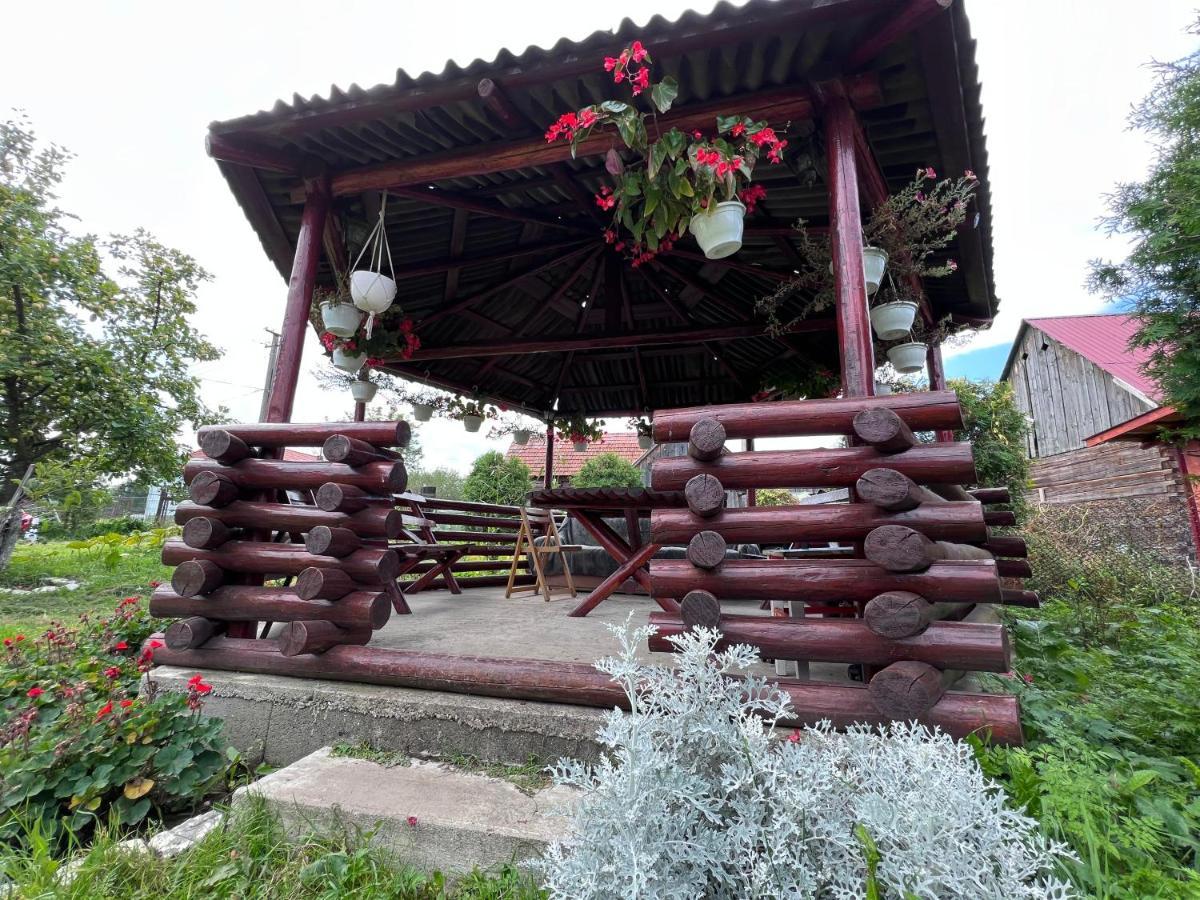 Affittacamere Casa Helen Insurance&Tourism Galócaş Esterno foto